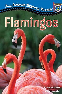 Flamingos - Malone, Jean M