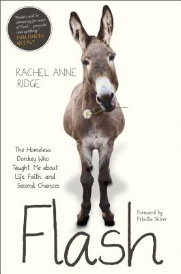 Flash: The Homeless Donkey Who Taught Me about Life, Faith, and Second Chances - Ridge, Rachel Anne, and Shirer, Priscilla (Foreword by)