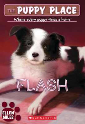 Flash (the Puppy Place #6) - Miles, Ellen