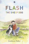 Flash the sheep dog