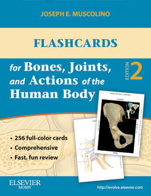 Flashcards for Bones, Joints, and Actions of the Human Body - Muscolino, Joseph E.