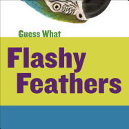 Flashy Feathers: Macaw
