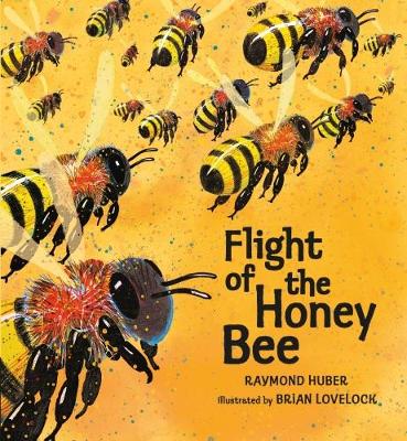 Flight of the Honey Bee - Huber, Raymond