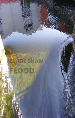 Flood - Shaw, Clare