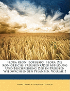 Flora Regni Borussici: Flora Des Knigreichs Preussen Oder Abbildung Und Beschreibung Der in Preussen Wildwachsenden Pflanzen, Volume 10