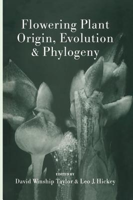 Flowering Plant Origin, Evolution & Phylogeny - Taylor, David W, Mr. (Editor), and Hickey, Leo, Prof. (Editor)