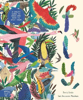 Fly: Shortlisted for the Wainwright Prize for Children's Nature and Conservation Writing 2024: A Child's Guide to Birds and Where to Spot Them - Lindo, David