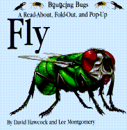 Fly