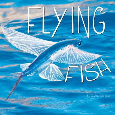 Flying Fish - Duhaime, Darla