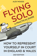 Flying Solo: How to Represent Yourself in Court in England and Wales