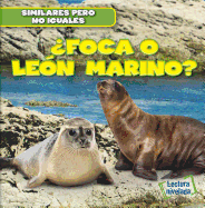 ?Foca O Le?n Marino? (Seal or Sea Lion?)