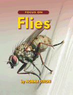 Focus on Flies