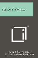 Follow the whale