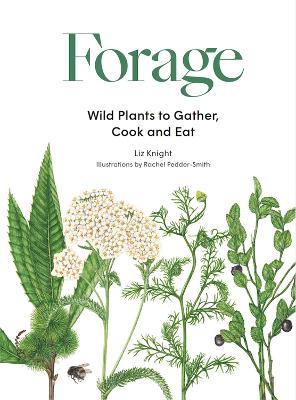 Forage: Wild plants to gather and eat - Knight, Liz