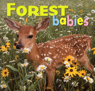 Forest Babies