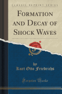 Formation and Decay of Shock Waves (Classic Reprint)