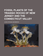 Fossil Plants of the Triassic Rocks of New Jersey and the Connecticut Valley
