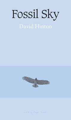 Fossil Sky - Hinton, David