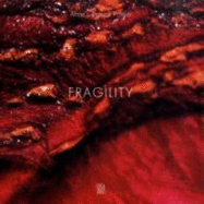 Fragility - Poirier, Anne, and Poirier, Patrick, and Commellato, Antonella (Volume editor)