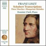 Franz Liszt: Schubert Transcriptions