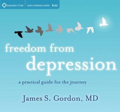 Freedom from Depression: A Practical Guide for the Journey - Gordon, James S