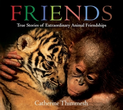 Friends Board Book: True Stories of Extraordinary Animal Friendships - Thimmesh, Catherine