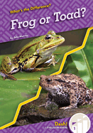 Frog or Toad?