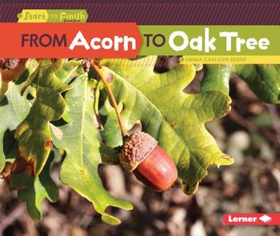 From Acorn to Oak Tree - Carlson-Berne, Emma