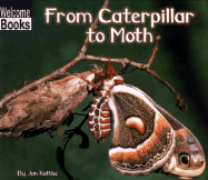 From Caterpillar to Moth - Kottke, Jan