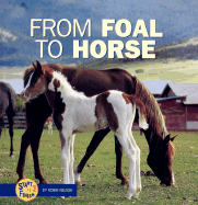 From Foal to Horse