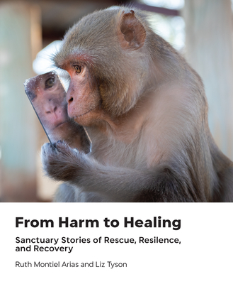 From Harm to Healing: Sanctuary Stories of Rescue, Resilience, and Recovery - Montiel Arias, Ruth, and Tyson, Liz