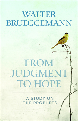 From Judgment to Hope: A Study on the Prophets - Brueggemann, Walter