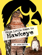 From Little Hawk to Hawkeye