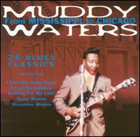 From Mississippi to Chicago - Muddy Waters