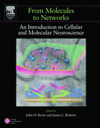 From Molecules to Networks: An Introduction to Cellular and Molecular Neuroscience - Byrne, John H (Editor), and Heidelberger, Ruth (Editor), and Waxham, M Neal (Editor)