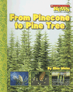 From Pinecone to Pine Tree - Weiss, Ellen