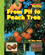 From Pit to Peach Tree - Weiss, Ellen