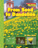 From Seed to Dandelion - Weiss, Ellen
