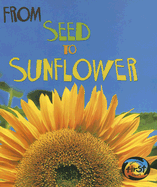 From Seed to Sunflower