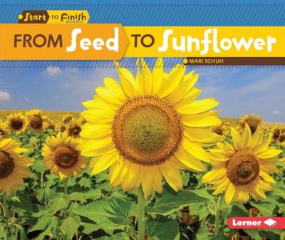 From Seed to Sunflower - Schuh, Mari C