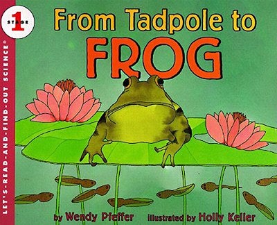 From Tadpole to Frog - Pfeffer, Wendy