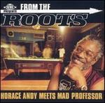 From the Roots - Horace Andy Meets Mad Professor