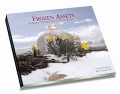 Frozen Assets: The Beautiful Truth about Western New York's Fourth Season