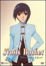 Fruits Basket, Vol 2: What Becomes of Snow?