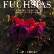 Fuchsias - Cooke, Blaise