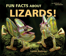 Fun Facts about Lizards!