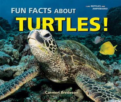 Fun Facts about Turtles! - Bredeson, Carmen