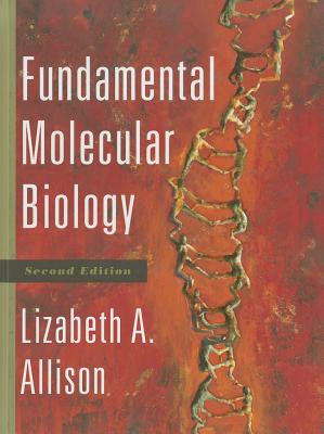 Fundamental Molecular Biology - Allison, Lizabeth A.