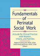 Fundamentals of Perinatal Social Work: A Guide for Clinical Practice with Women, Infants, and Families