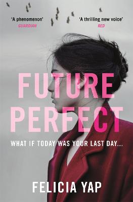 Future Perfect: The Most Exciting High-Concept Novel of the Year - Yap, Felicia